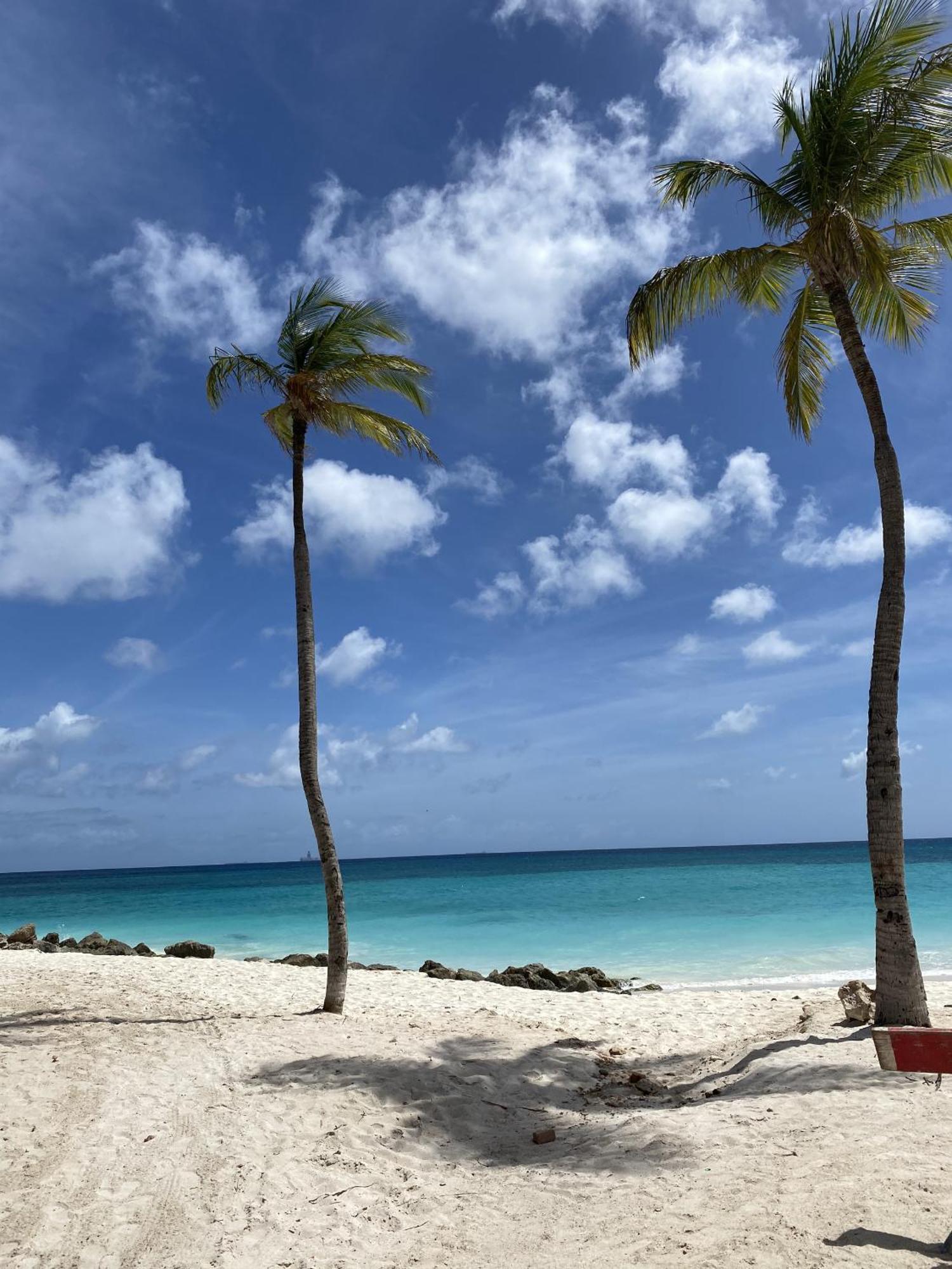 Movida Inn Aruba 棕榈滩 客房 照片