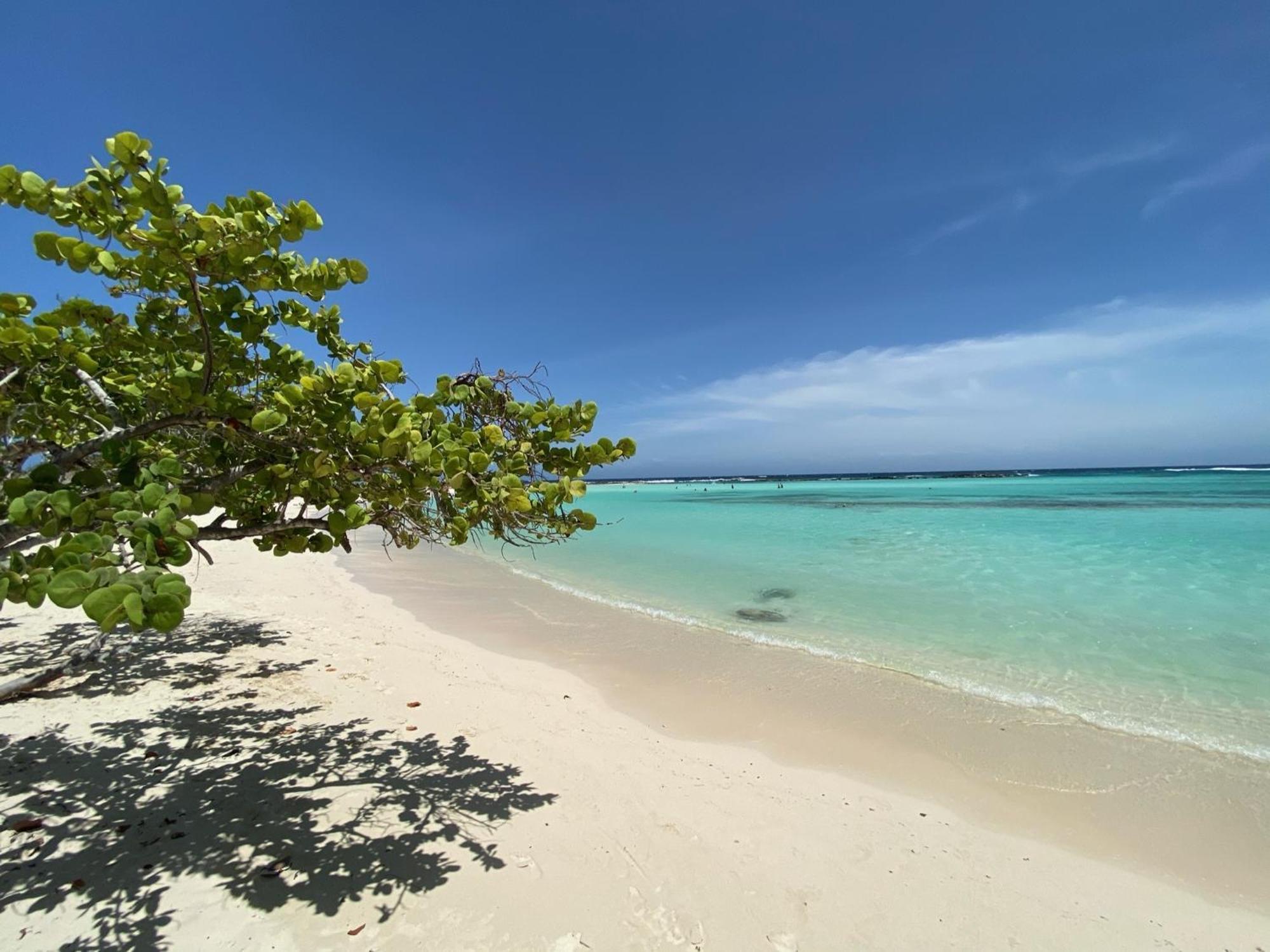 Movida Inn Aruba 棕榈滩 客房 照片