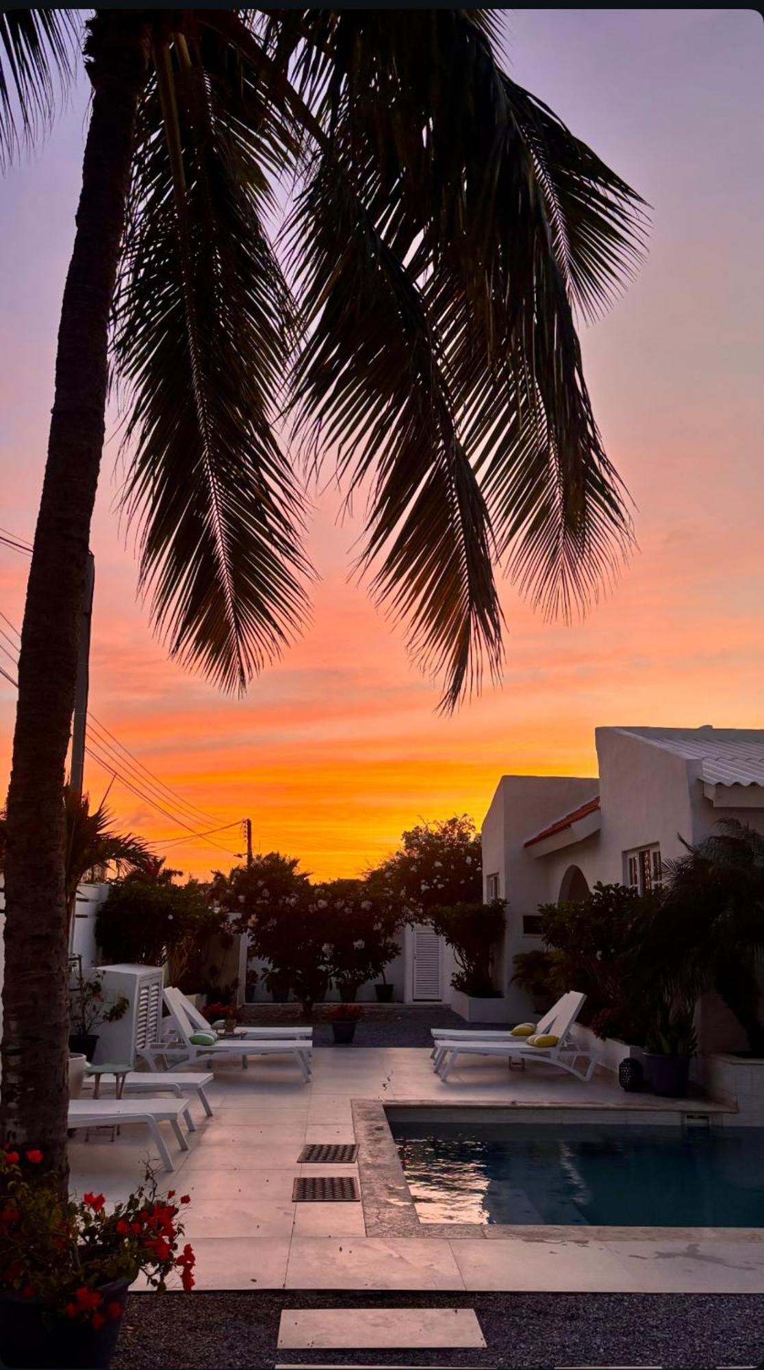 Movida Inn Aruba 棕榈滩 外观 照片